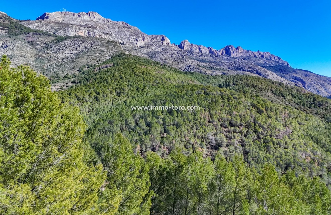 Herverkoop - Plot - Callosa d'en Sarrià - Santa clara