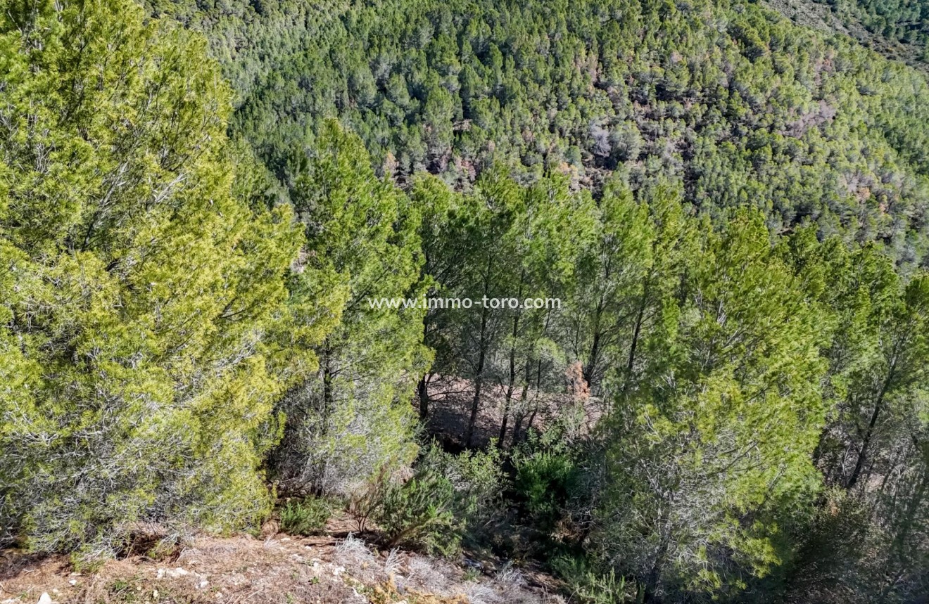 Herverkoop - Plot - Callosa d'en Sarrià - Santa clara