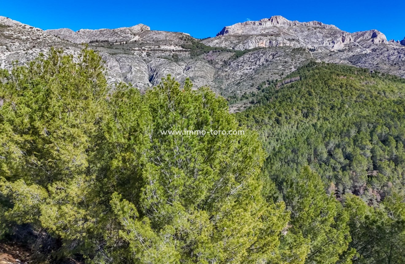 Herverkoop - Plot - Callosa d'en Sarrià - Santa clara