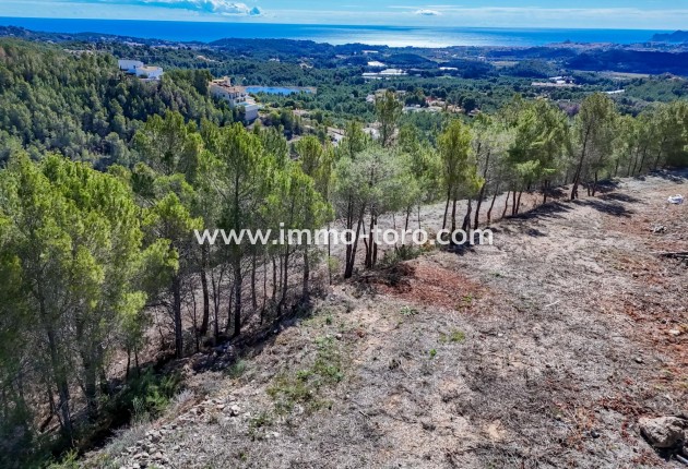 Herverkoop - Plot - Callosa d'en Sarrià - Santa clara