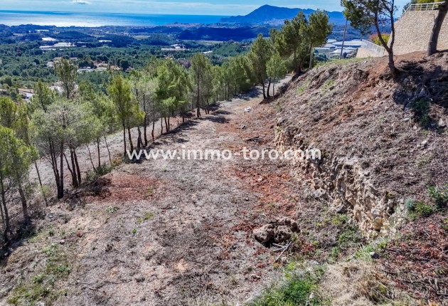 Herverkoop - Plot - Callosa d'en Sarrià - Santa clara