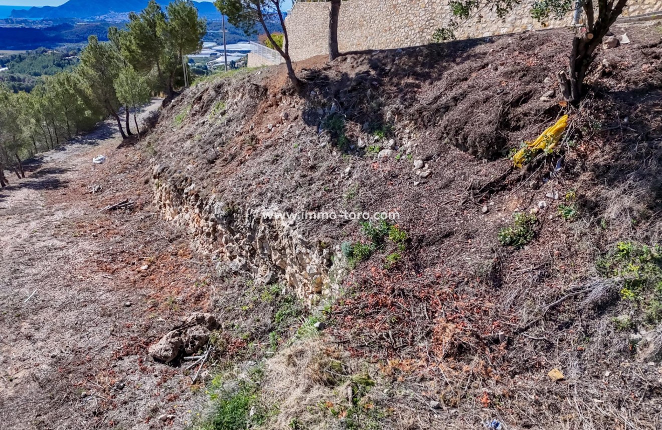 Herverkoop - Plot - Callosa d'en Sarrià - Santa clara