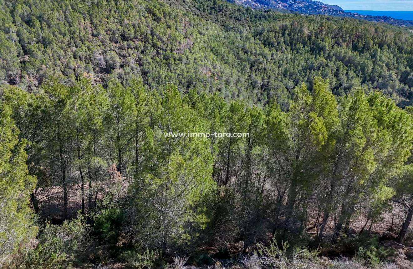 Resale - Plot - Callosa d'en Sarrià - Santa clara
