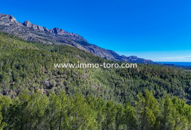 Resale - Plot - Callosa d'en Sarrià - Santa clara