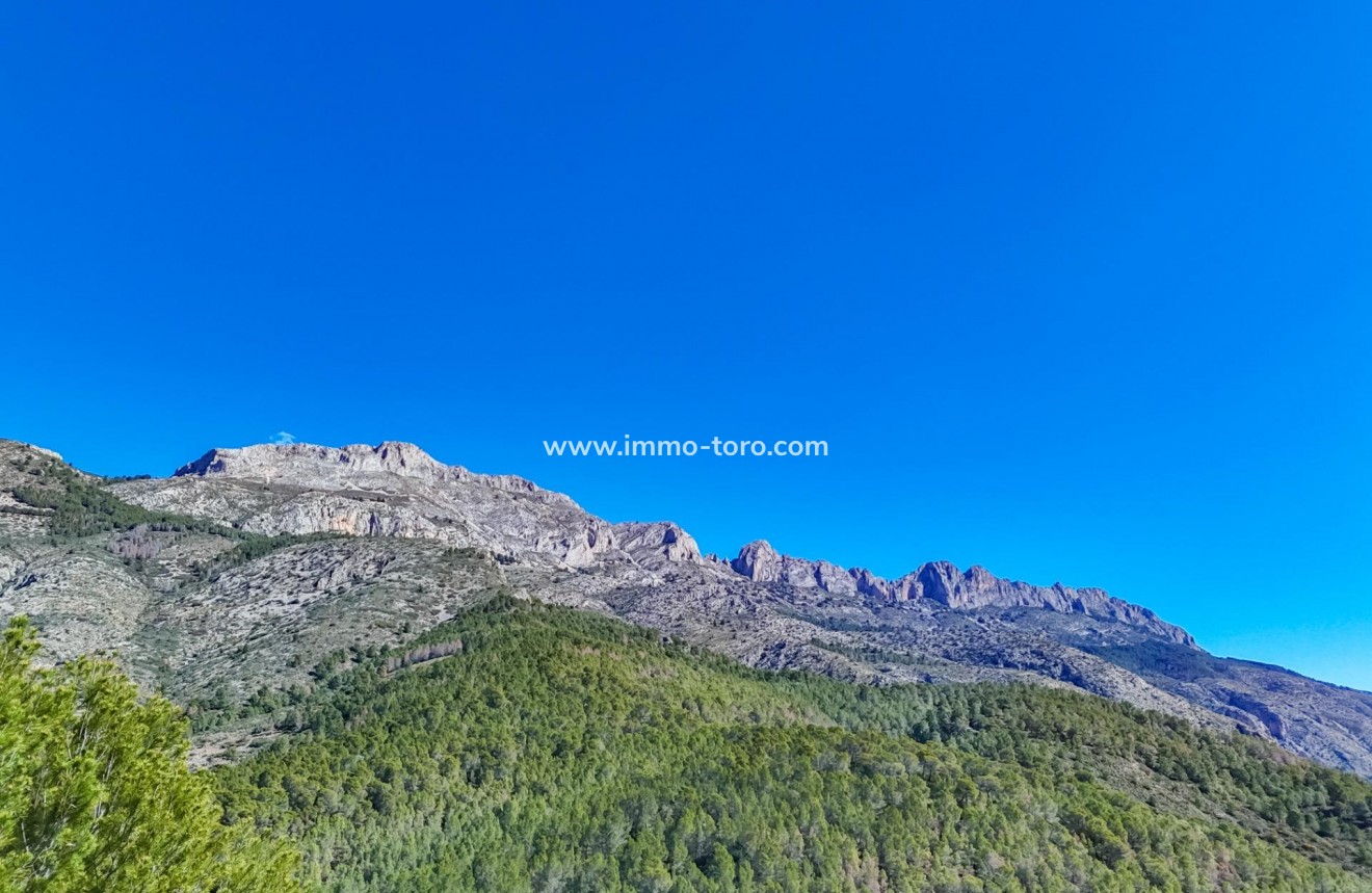 Resale - Plot - Callosa d'en Sarrià - Santa clara