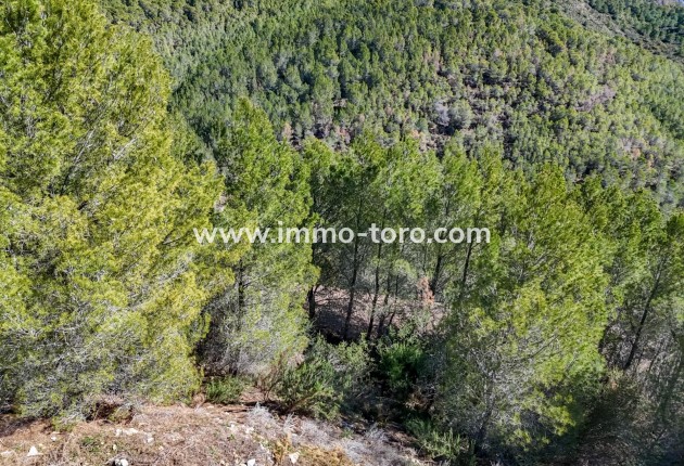 Resale - Plot - Callosa d'en Sarrià - Santa clara
