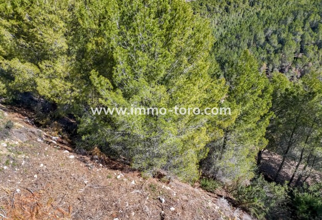Resale - Plot - Callosa d'en Sarrià - Santa clara