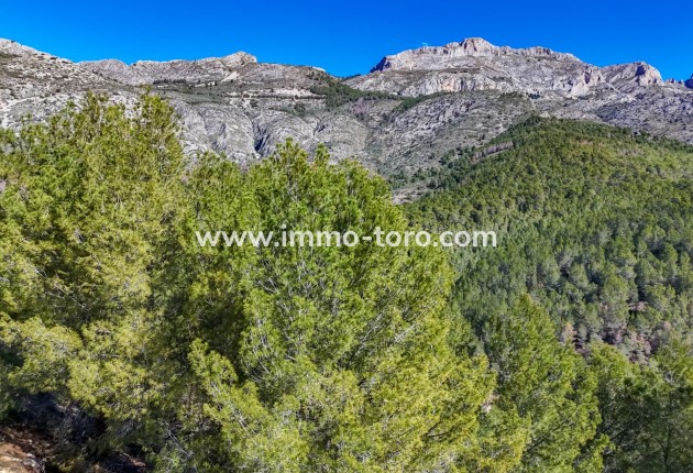 Resale - Plot - Callosa d'en Sarrià - Santa clara