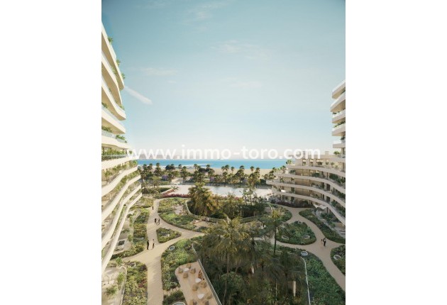 New Build - Apartment - Malaga - Playa de Sacaba