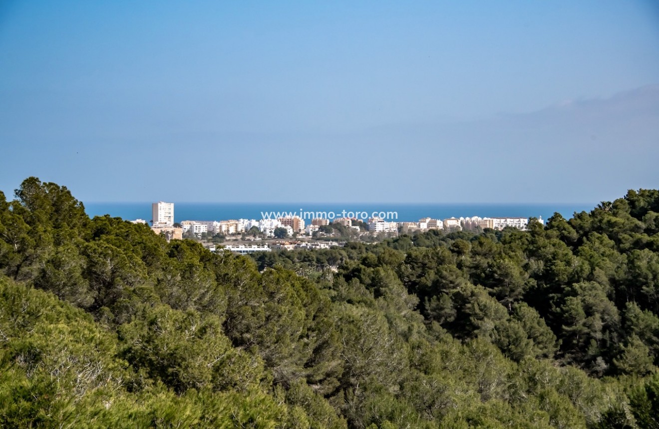 New Build - Villas - Javea - Tosalet