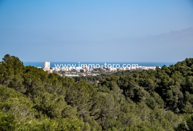 New Build - Villas - Javea - Tosalet