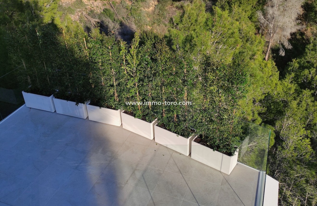 Nueva construcción  - Villas - Altea