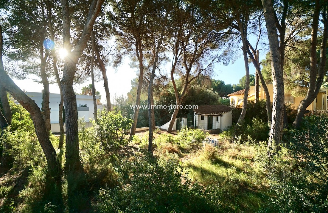 Resale - Plots of Land - Moraira - La Cometa
