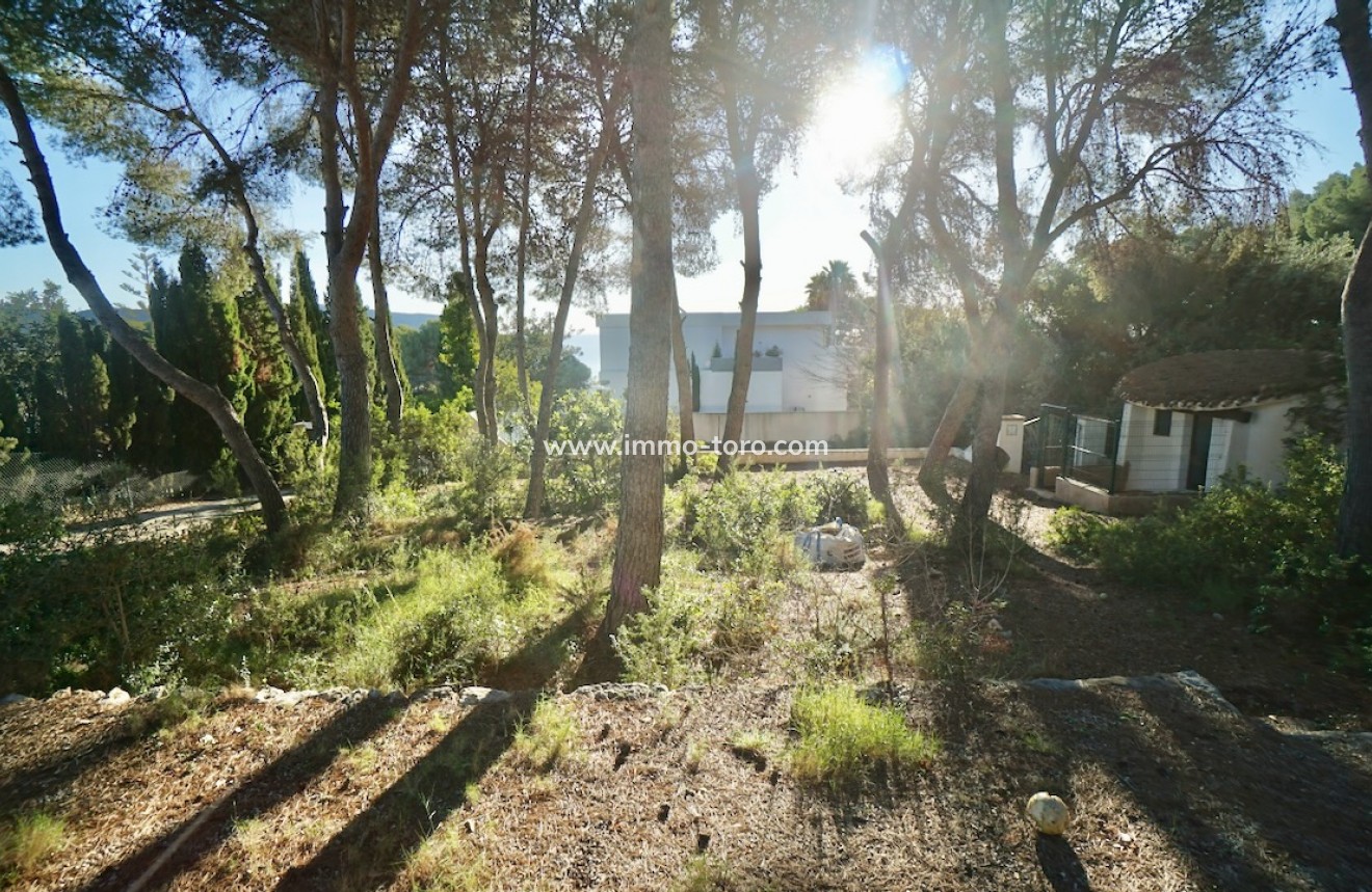 Resale - Plots of Land - Moraira - La Cometa