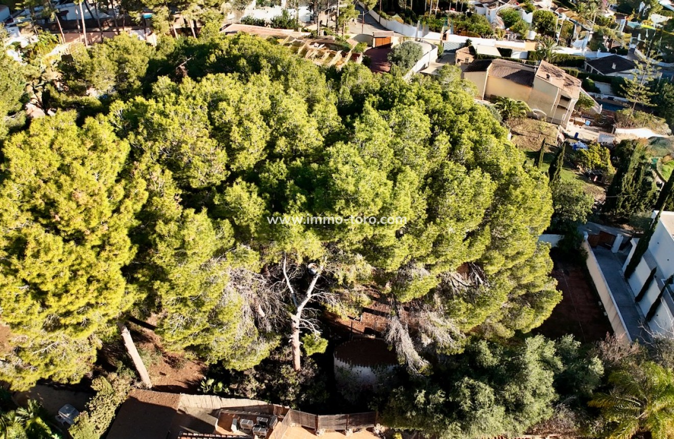 Resale - Plots of Land - Moraira - La Cometa