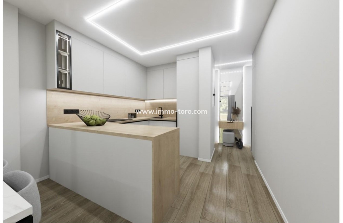Nouvelle construction - Penthouse - Torrevieja - Playa El Acequión