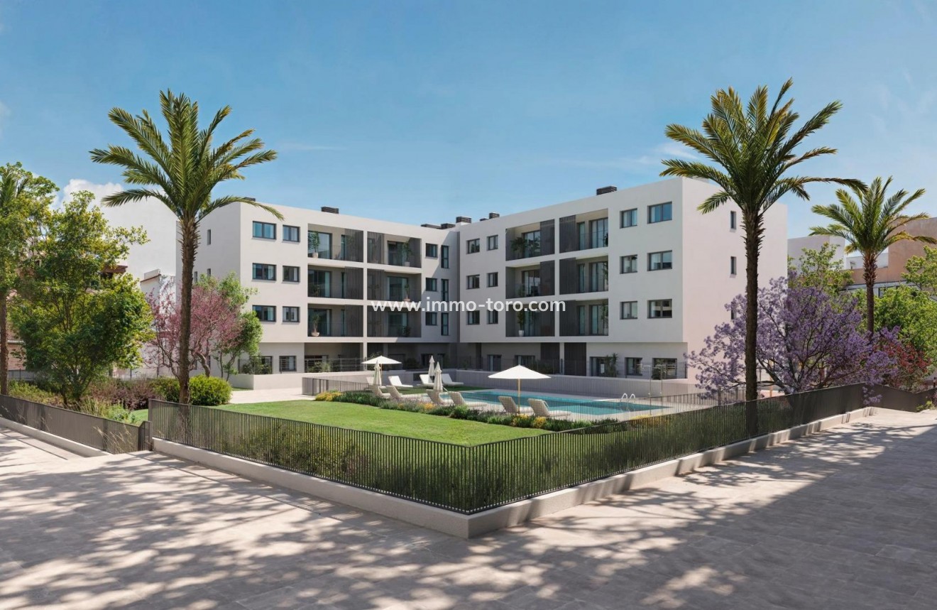 Nieuwbouw - Appartement  - Alicante - San Agustín