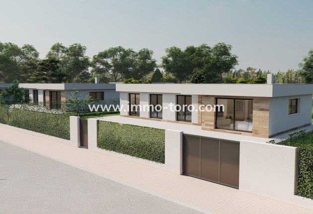 Nouvelle construction - Villa - Calasparra