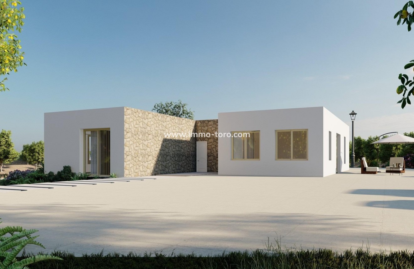 New Build - Villa - Benejúzar - alta