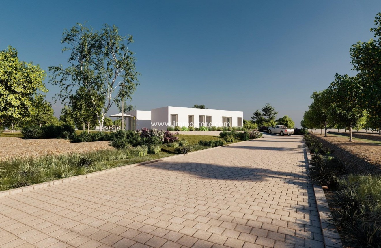 New Build - Villa - Benejúzar - alta