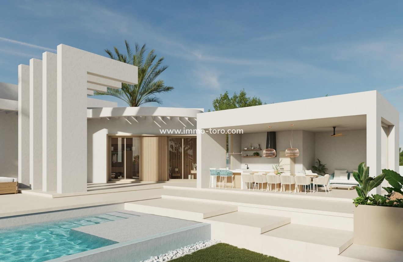 New Build - Villa - Benejúzar - alta