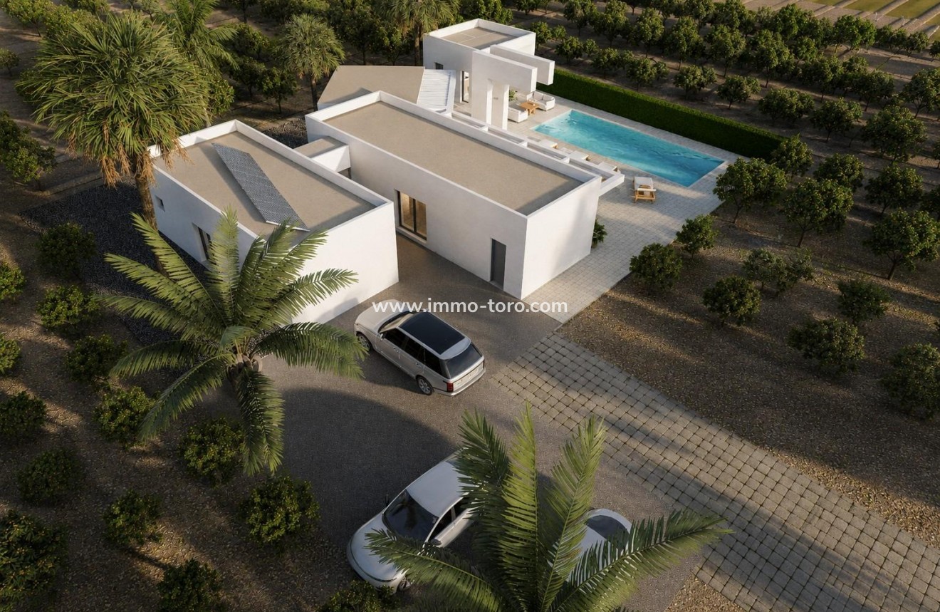 New Build - Villa - Benejúzar - alta