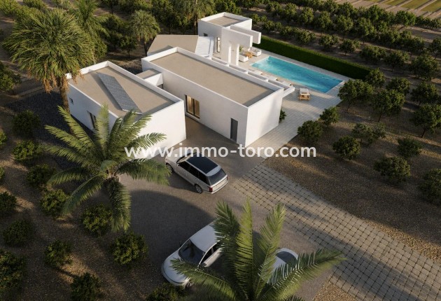 New Build - Villa - Benejúzar - alta