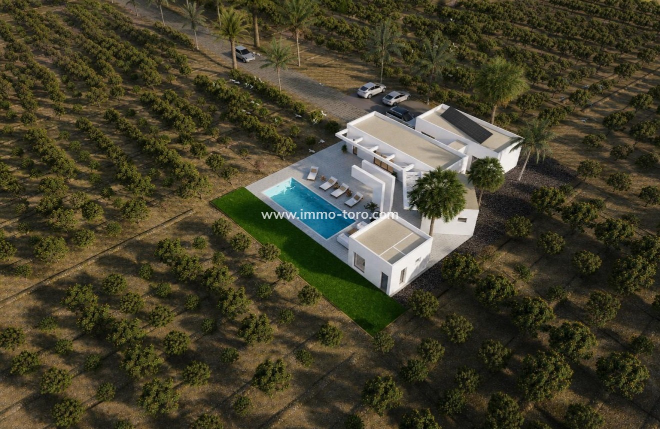 New Build - Villa - Benejúzar - alta