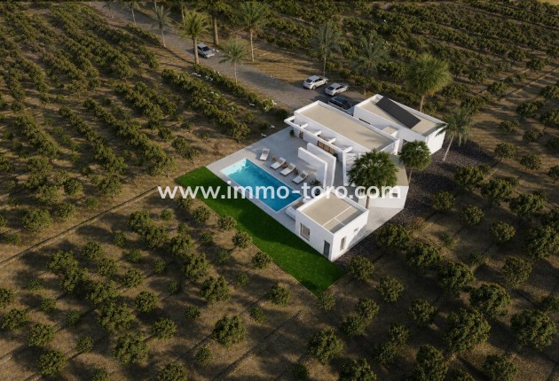 New Build - Villa - Benejúzar - alta