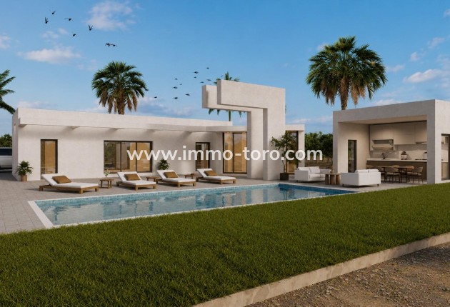 New Build - Villa - Benejúzar - alta