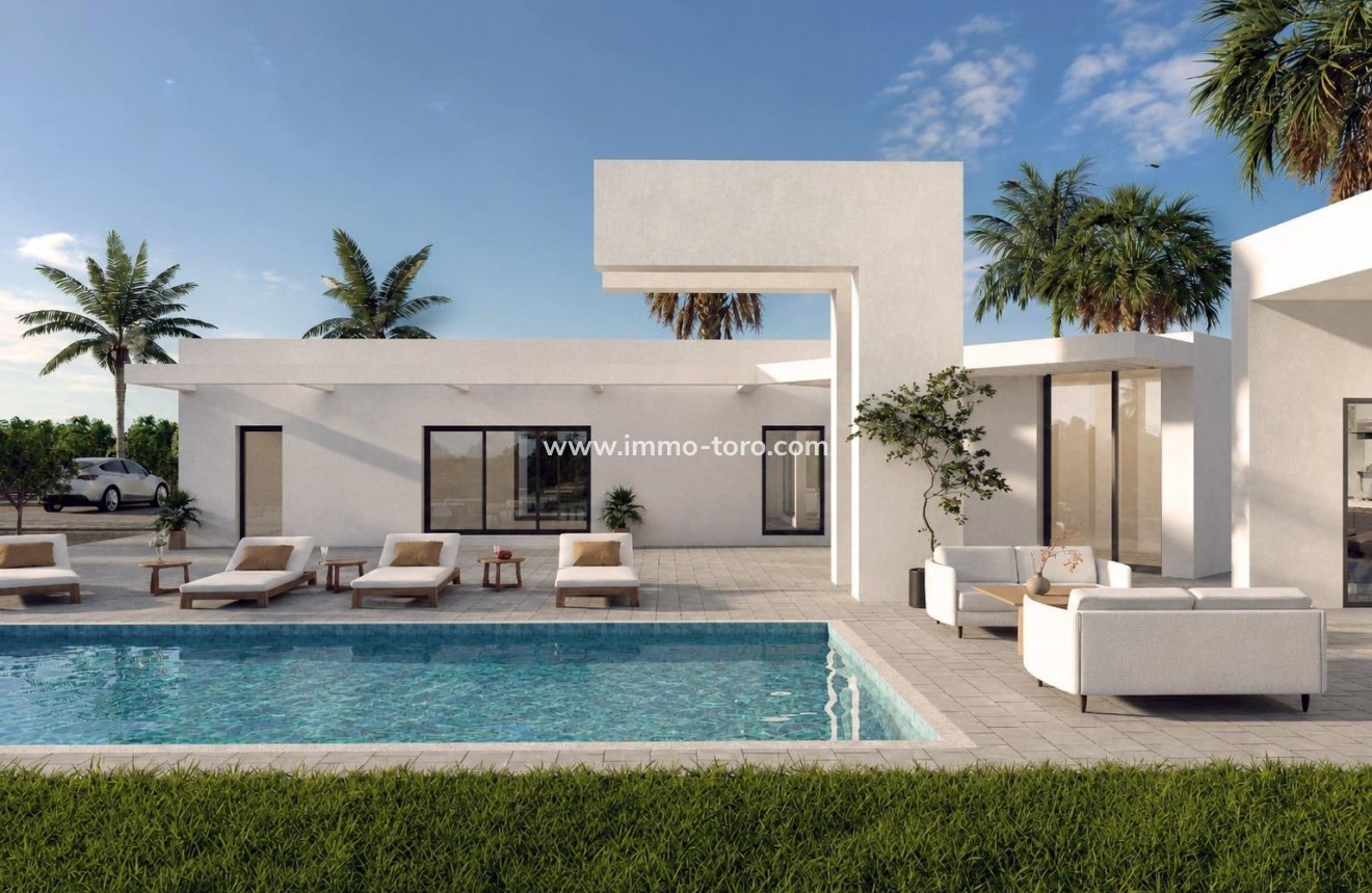 New Build - Villa - Benejúzar - alta