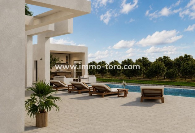 New Build - Villa - Benejúzar - alta