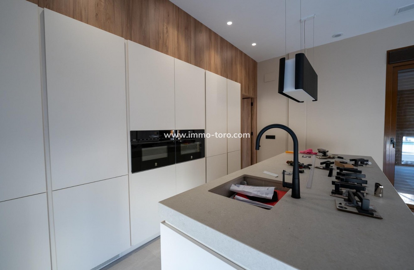 New Build - Villa - Benejúzar - alta
