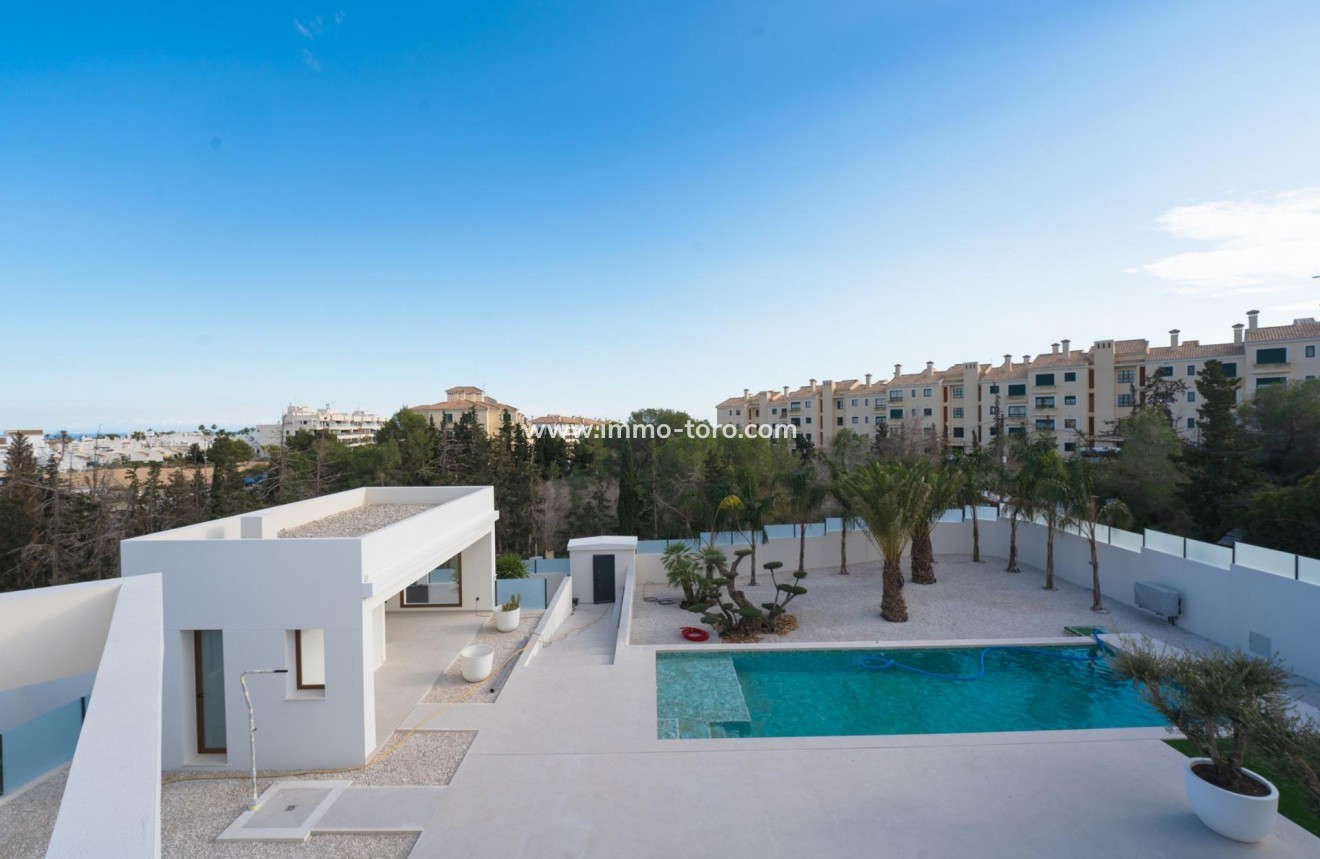 New Build - Villa - Benejúzar - alta