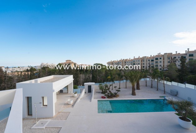 New Build - Villa - Benejúzar - alta