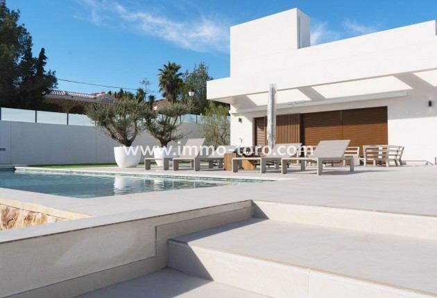 New Build - Villa - Benejúzar - alta