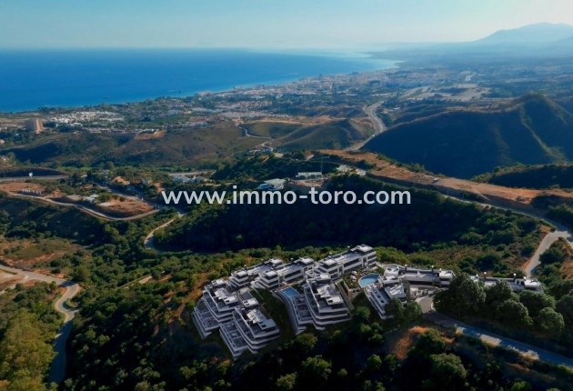 New Build - Apartment - Marbella - Los Monteros