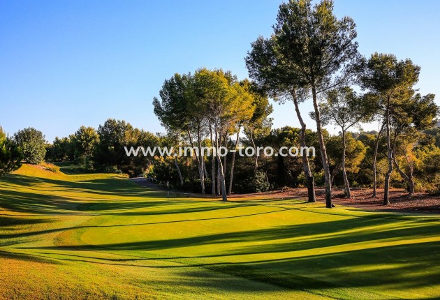 New Build - Villa - Orihuela - Las Colinas Golf