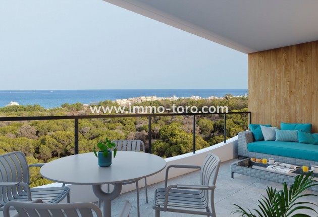 New Build - Penthouse - Guardamar - Guardamar del Segura