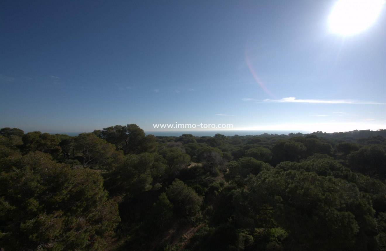 Nouvelle construction - Appartement - Guardamar del Segura - Pueblo