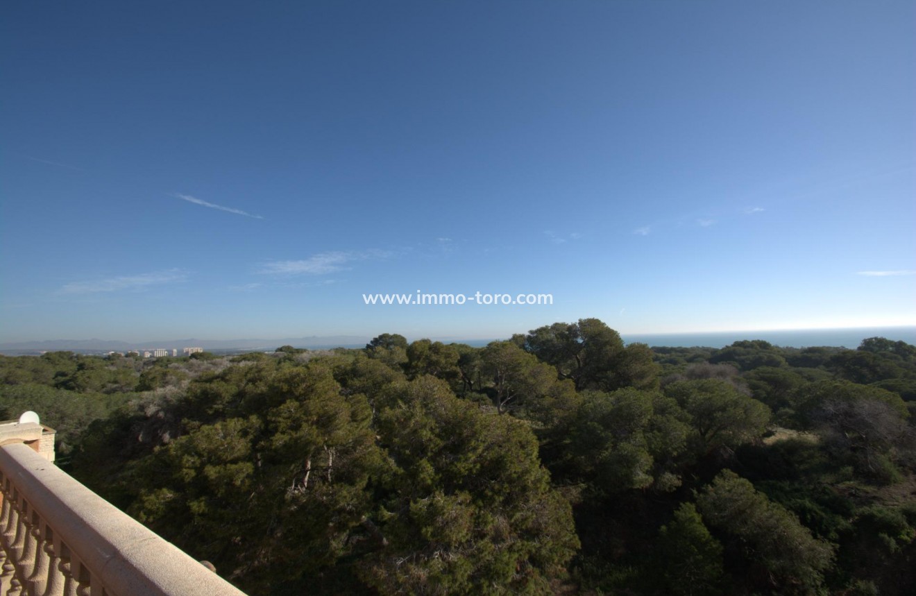Nouvelle construction - Appartement - Guardamar del Segura - Pueblo