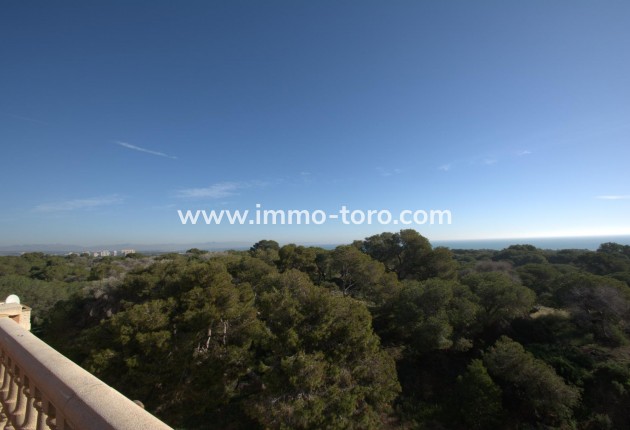 Nouvelle construction - Appartement - Guardamar del Segura - Pueblo