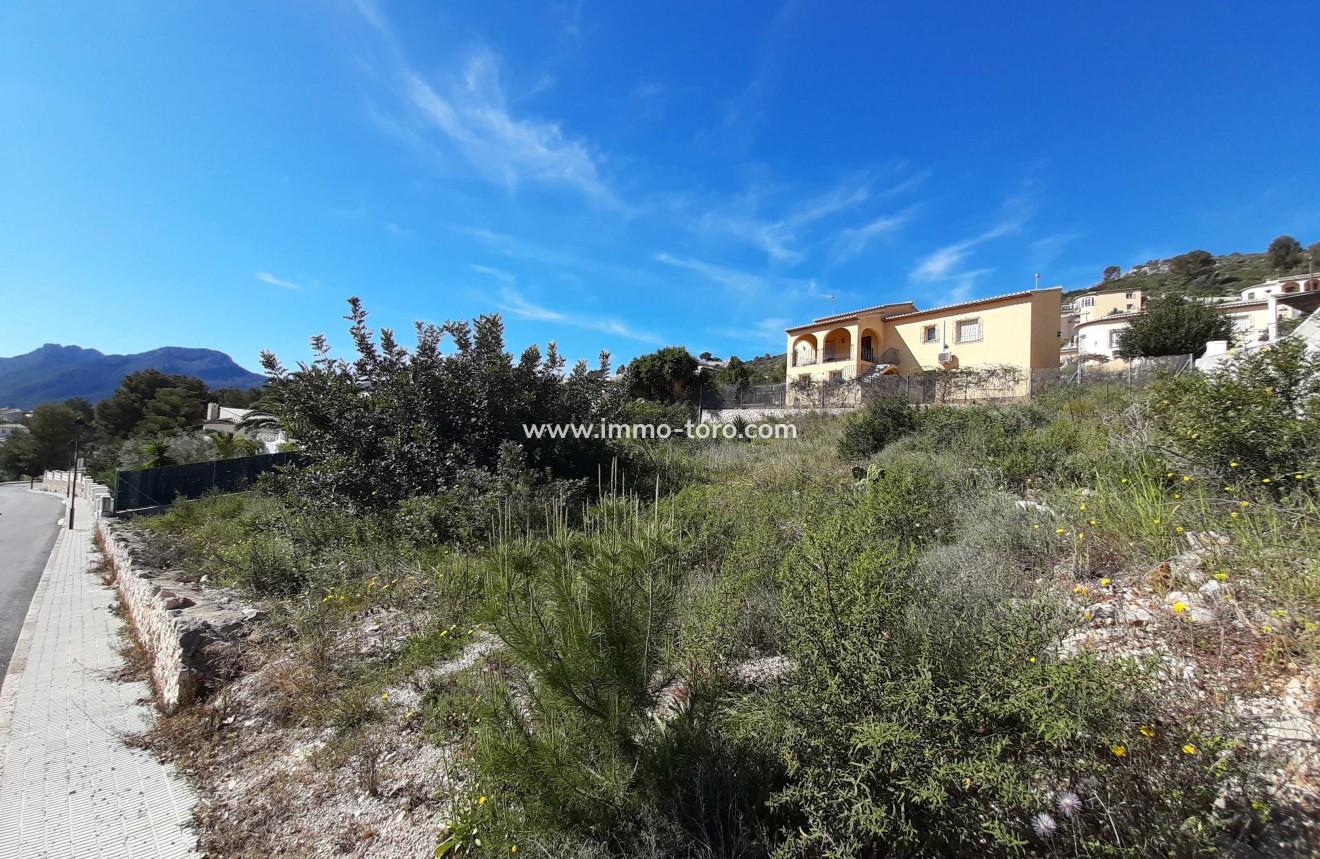 New Build - Villa - Alcalalí - Benarrosa Garden