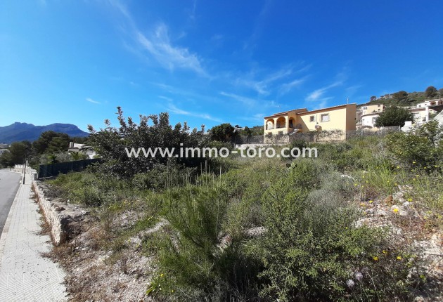 New Build - Villa - Alcalalí - Benarrosa Garden
