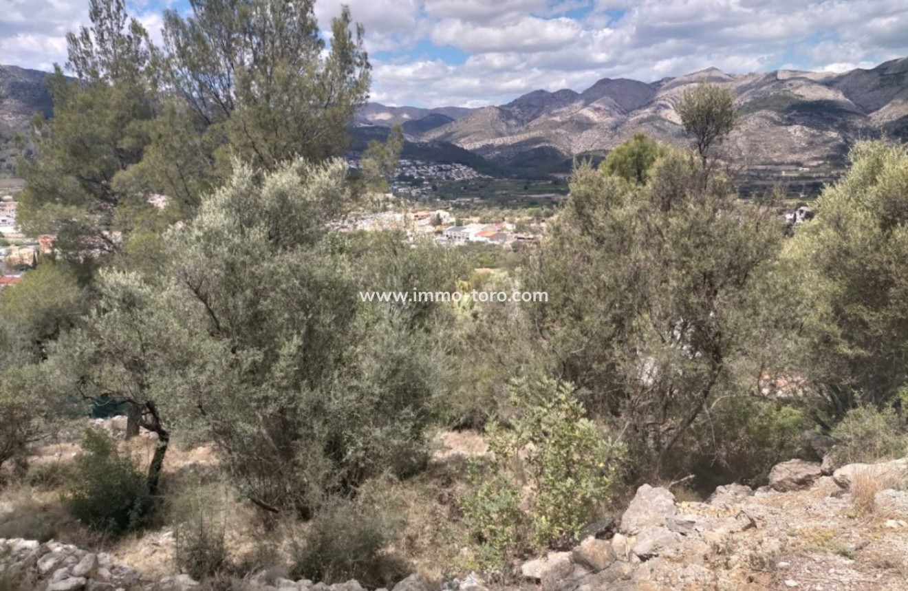 Resale - terrain - Orba - El Aspre