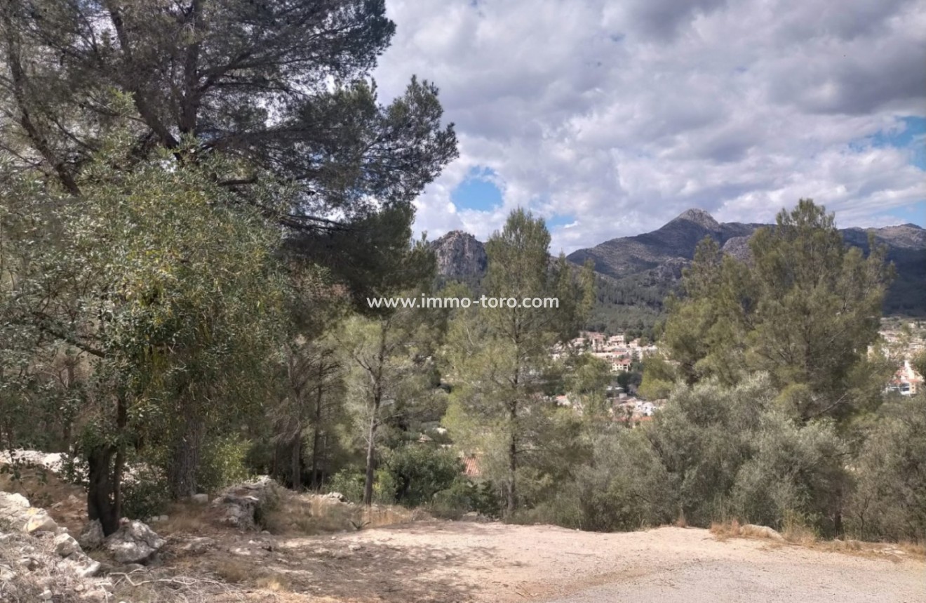 Resale - terrain - Orba - El Aspre