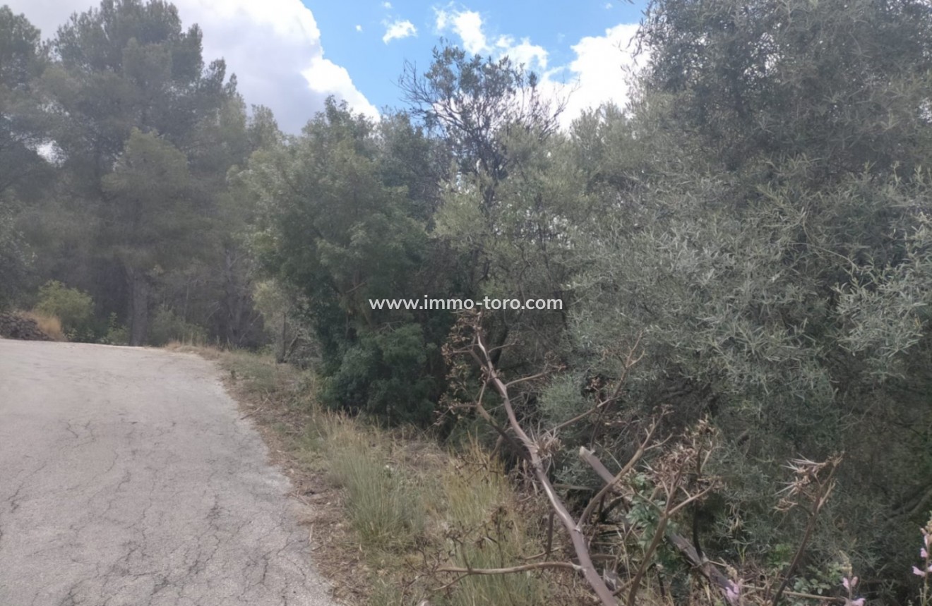 Resale - terrain - Orba - El Aspre