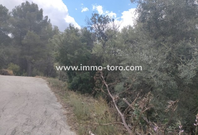 Resale - terrain - Orba - El Aspre