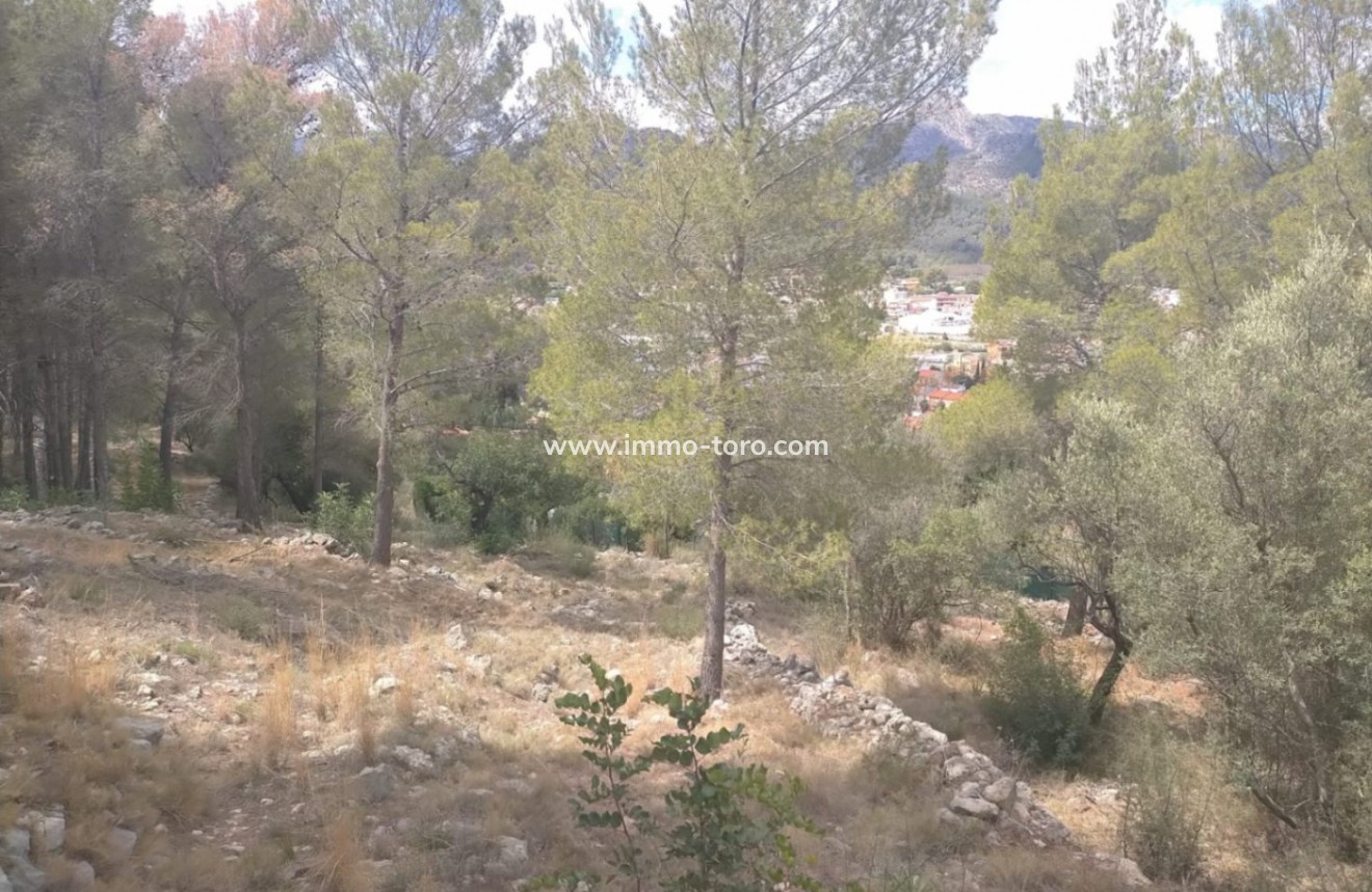 Resale - terrain - Orba - El Aspre