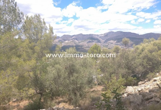 Resale - terrain - Orba - El Aspre